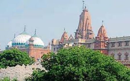 Krishna Janmabhoomi Case: इलाहाबाद हाईकोर्ट ने मथुरा मंदिर-मस्जिद विवाद पर ASI सर्वे को मंजूरी दी