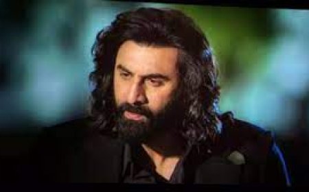 Animal Worldwide Box Office Collection Day 14:'एनिमल' ने बॉक्स ऑफिस में  मचाया तूफान,14 दिनों में 784.45 करोड़ की कमाई