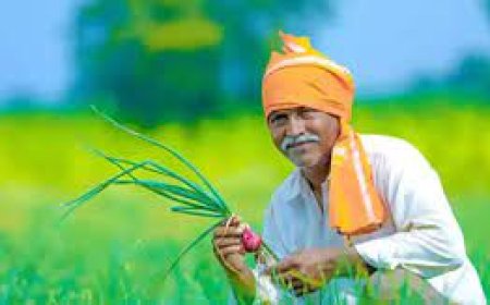 CG Dhan Bonus News: किसानों को मिली खुशियों की सौगात.. चमक उठे किसानों के चेहरे, जताया PM मोदी और CM साय का आभार