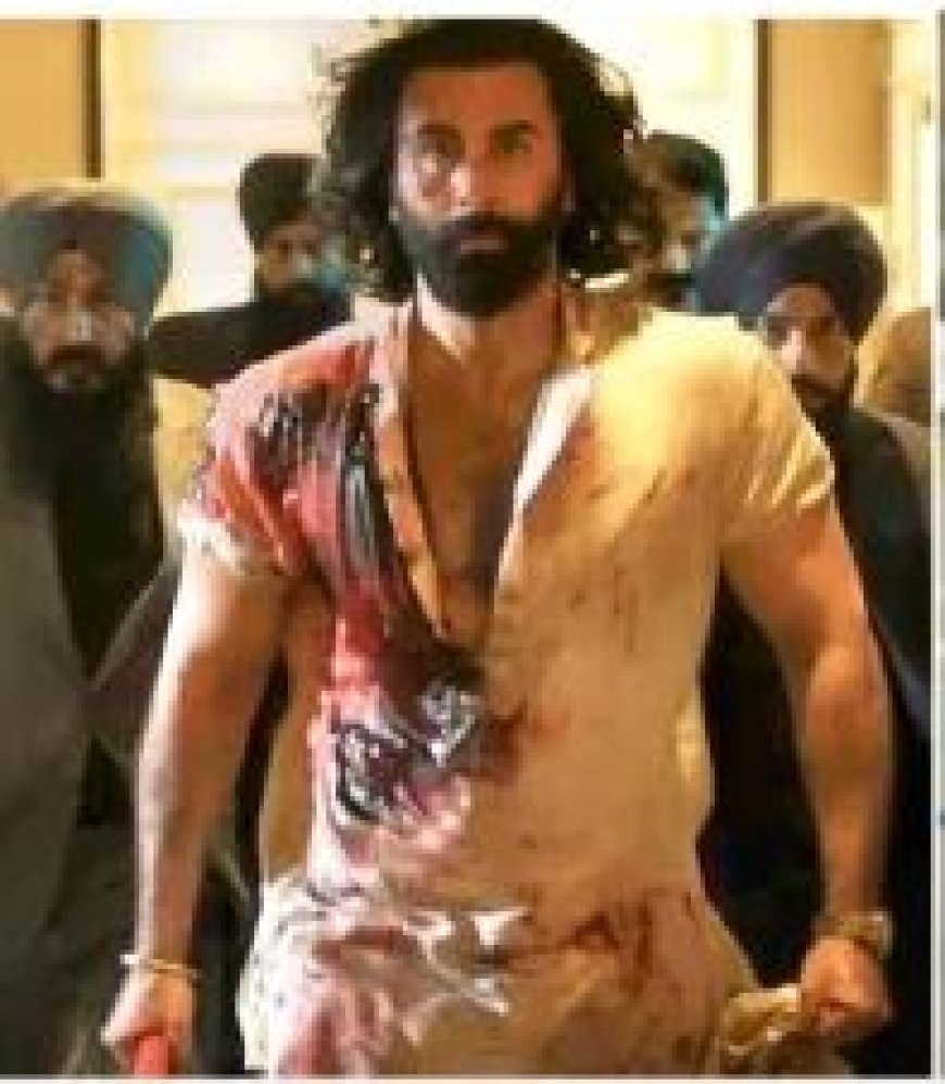Animal Box Office Collection Worldwide Day 13:रणबीर कपूर की 'एनिमल' ने बॉक्स ऑफिस में मचाया धमाल, 13 दिनों में 772 करोड़ का किया कारोबार