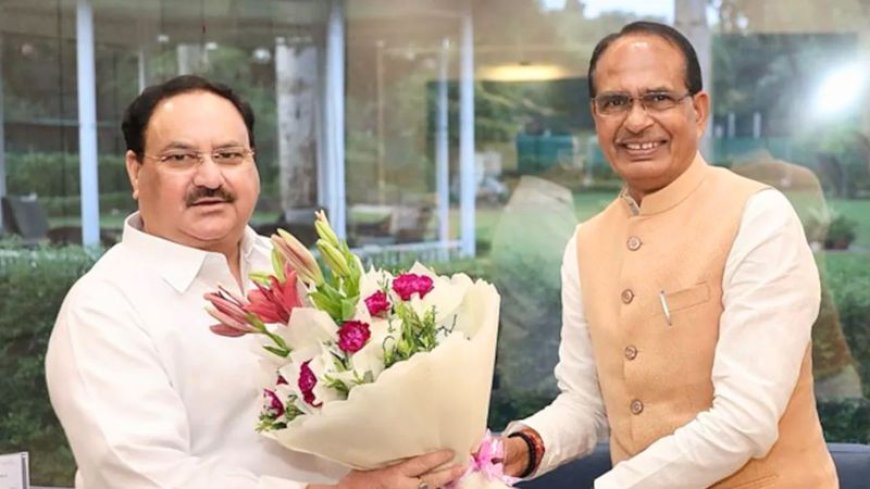 MP Politics:शिवराज सिंह चौहान ने की BJP अध्यक्ष जेपी नड्डा से मुलाकात, कहा...जो काम दिया जाएगा, मैं वो करूंगा