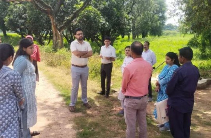 Collector Issued Notice: सरकार बदलते ही एक्शन मोड में दिखी प्रशासन,  67 कर्मियों को जारी किया नोटिस