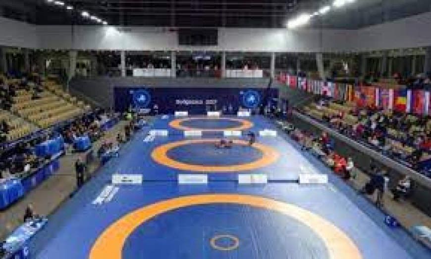 WFI Controversy: कुश्ती के लिए IOA ने बनाई तीन सदस्यीय समिति, खेल मंत्रालय ने WFI को किया निलंबित