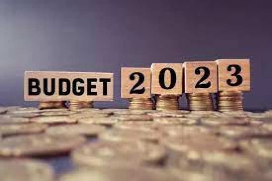 Budget 2024: क्या इस साल अंतरिम बजट में  आठ लाख रुपये तक की हो सकती है आमदनी,  जाने  क्या होगा फायदा?
