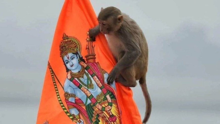 Ram Lala Mandir: रामलला मंदिर के गर्भगृह में घुसा वानर, भक्तों ने बताया भगवान हनुमान