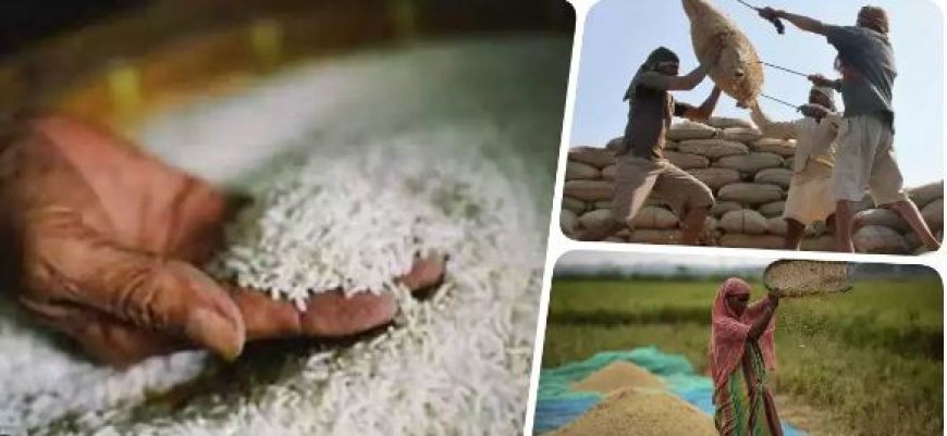 Rice Become Cheaper: आम जनता के लिए केंद्र सरकार ने लिया बड़ा फैसला, अब इतने रुपए सस्ते में मिलेगा चावल