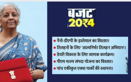 Budget 2024: बजट में किसानों के लिए आत्मनिर्भर तिलहन अभियान