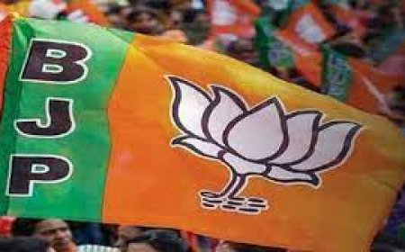 Lok Sabha elections:  चुनाव से पहले ‎दिल्ली में बीजेपी जुटाएगी 8 हजार से ज्यादा पार्टी मेंबर