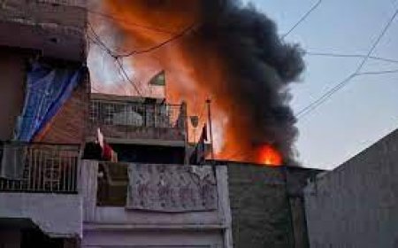 Delhi Fire: दिल्ली के अलीपुर में पेंट फैक्ट्री में आग लगने से 11 की मौत, चार जख्मी