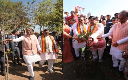 Bhopal News: शिवराज के पौधारोपण संकल्प के तीन वर्ष पूरे, आज हुआ पर्यावरण सम्मेलन