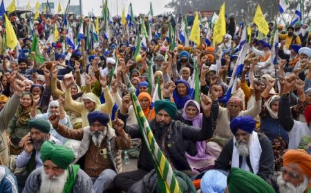 Farmer protest: जिम्मेदारों के खिलाफ एफआईआर करे पंजाब सरकार... तभी करेंगे अंतिम संस्कार