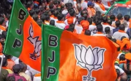 Loksabha Election 2024: दिल्ली में बीजेपी सातों सीटों पर किसे देगी मौका...