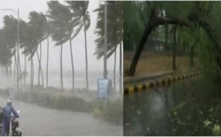Mp Weather News:   अचानक मौसम ने ली करवट, आंधी तूफान के साथ बारिश और ओले गिरने के आसार