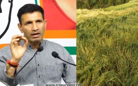 MP News: जीतू पटवारी ने ओलावृष्टि से फसल बर्बाद पर उठाई मांग, कहा जल्द  किसानों को मुआवजा दे सरकार