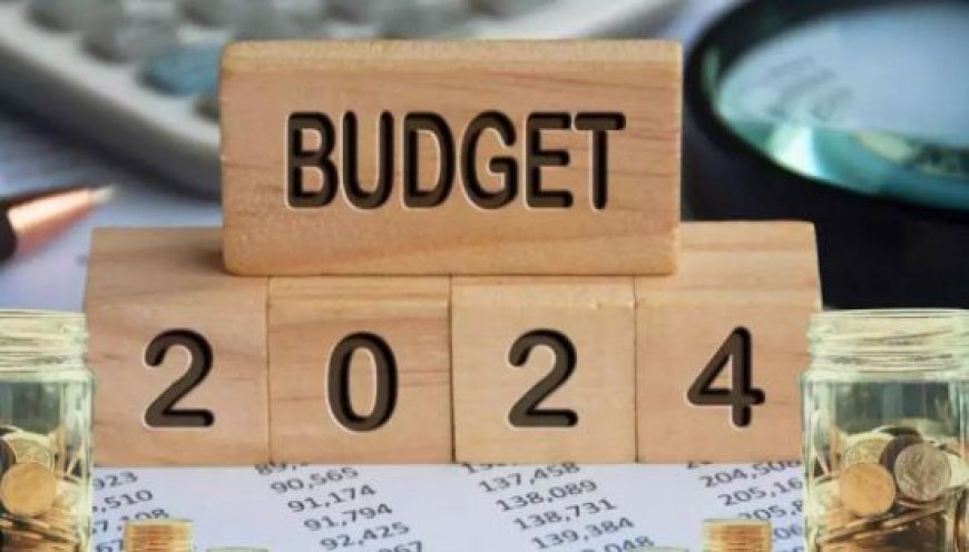 Budget 2024: आइये जानते है क्या होता है मिनी बजट