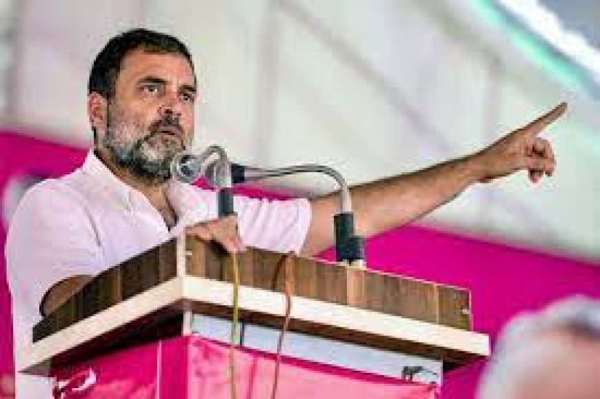 Rahul Gandhi on BJP RSS: बीजेपी- आरएसएस के लोग नफरत फैला रहे : राहुल गांधी