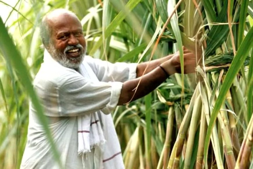 Sugarcane Price Hike: आंदोलन के बीच किसानों के लिए आ सकती है खुशखबरी! सरकार कर सकती है ऐलान…