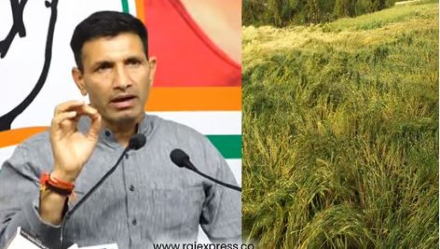 MP News: जीतू पटवारी ने ओलावृष्टि से फसल बर्बाद पर उठाई मांग, कहा जल्द  किसानों को मुआवजा दे सरकार