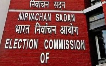 Lok Sabha Election 2024: इलेक्शन कमीशन केंद्र सरकार पर हुआ सख्त,  'विकसित भारत' व्हाट्सएप मैसेज पर लगाई रोक