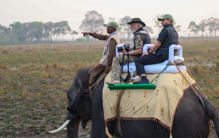 PM Modi Assam Visit: पीएम मोदी के असम दौरे का दूसरा दिन, काजीरंगा राष्ट्रीय उद्यान में हाथी की सवारी का उठाया लुत्फ