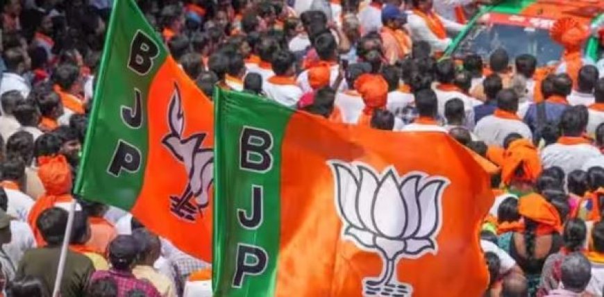 BJP Candidates List 2024:  बीजेपी के उम्मीदवारों की दूसरी  लिस्ट जारी, इन दिग्गजों को मिला टिकट