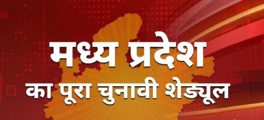 Lok Sabha Chunav 2024 Date and Schedule: चुनावी तारीखों का हुआ ऐलान, जानें कितने चरणों में होगा चुनाव, यहां देखें पूरा शेड्यूल