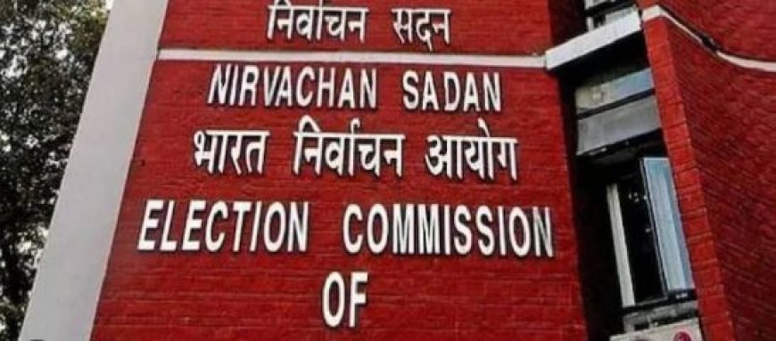 Lok Sabha Election 2024: इलेक्शन कमीशन केंद्र सरकार पर हुआ सख्त,  'विकसित भारत' व्हाट्सएप मैसेज पर लगाई रोक