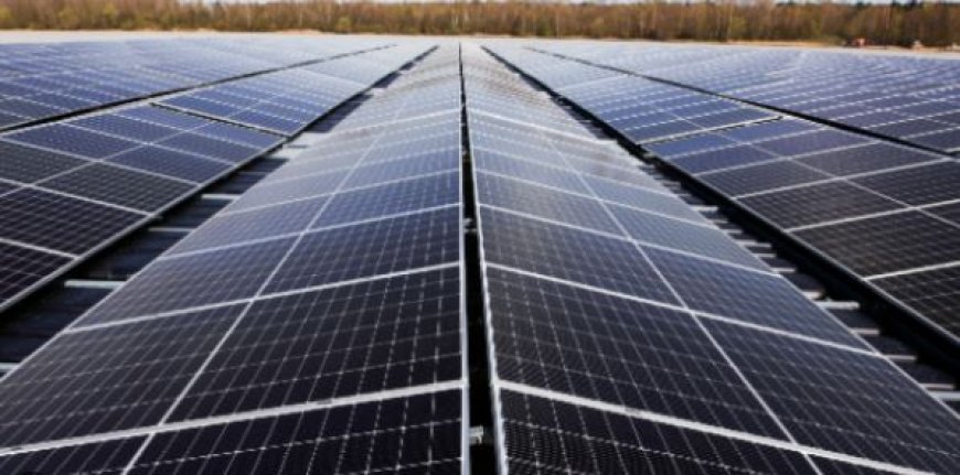 Gensol Engineering Share Price:  जेनसोल को महाराष्ट्र में 520 करोड़ की सौर परियोजना मिली