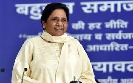 मायावती को लगा  बड़ा झटका बसपा सांसद मलूक नागर ने पार्टी से दिया इस्तीफा