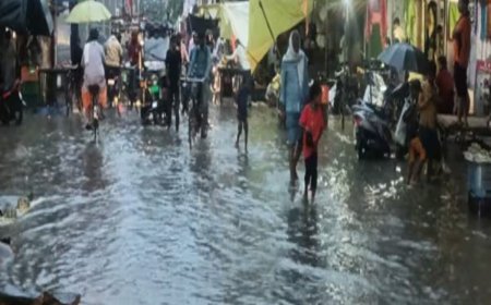 मध्यप्रदेश में दो दिन रहेगा गर्मी का असर, 19 अप्रैल से फिर आंधी-बारिश