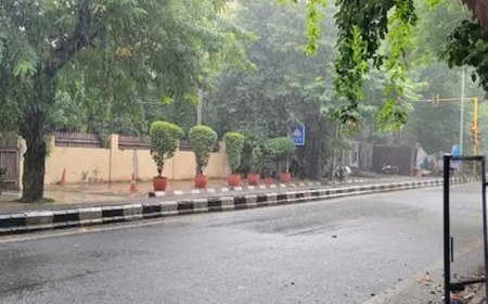 भोपाल और आसपास के क्षेत्रों में हुई बारिश