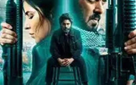 सलमान खान की टाइगर 3 जापान में मचा रही है धूम