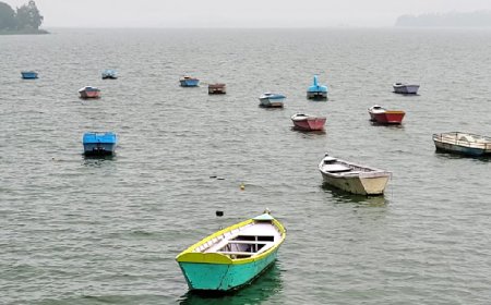 भोपाल में पहली बार कोलांस नदी 1 फीट ऊपर