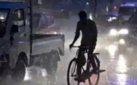 मध्य प्रदेश में सामान्य से अधिक वर्षा, ग्वालियर, सागर, इंदौर में तेज बौछारें पड़ने की संभावना