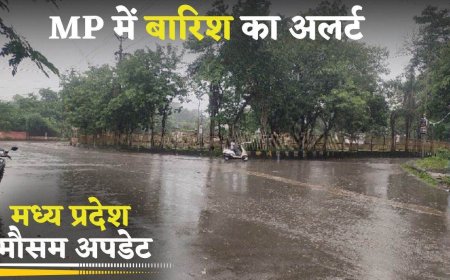 MP:एमपी में बारिश की ताज़ा खबरें