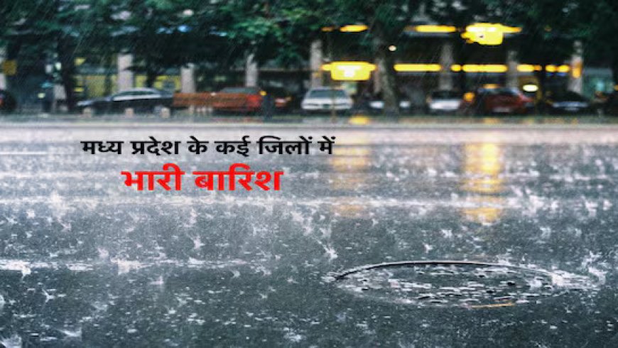 Madhya Pradesh:मध्य प्रदेश में झमाझम बारिश, 8 जिलों में किया अलर्ट जारी 
