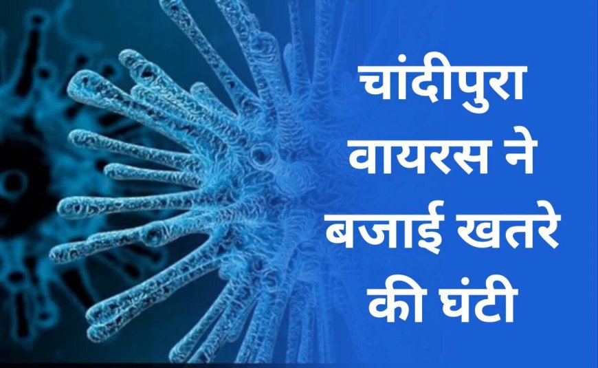 Chandipura virus:मध्यप्रदेश में तेजी से फैल रहा चांदीपुर वायरस 