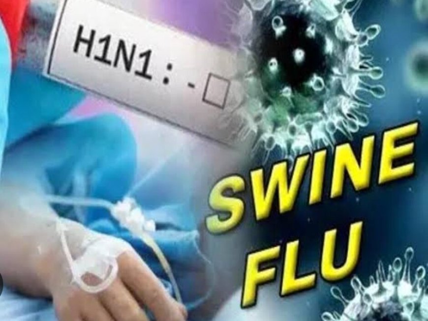 HEALTH DEPARTMENT: स्वाइन फ्लू के कई मामले कन्फर्म ,स्वास्थ्य विभाग ने जारी की एडवाइजरी 