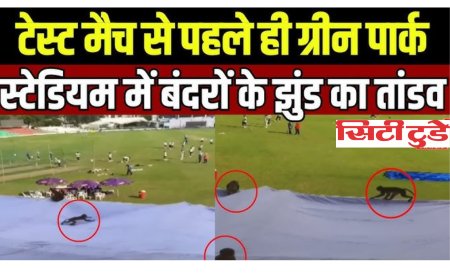 ग्रीनपार्क स्टेडियम में बंदरों ने मचाया आतंक,भारत-बांग्लादेश टेस्ट मैच प्रैक्टिस के दौरान मची अफरा-तफरी