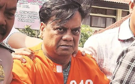 बॉम्बे हाईकोर्ट ने  छोटा राजन को दी जमानत जया शेट्टी हत्याकांड मामले में उम्रकैद की सजा को किया निलंबित