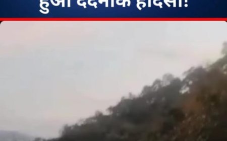 जंगली हाथी के हमले में जर्मन पर्यटक की मौत: वालपराई में हुआ दर्दनाक हादसा!