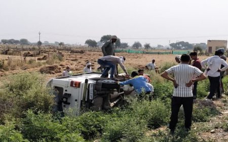 मुरैना में बुजुर्ग को बचाने में भिंड डिप्टी कलेक्टर का वाहन पलटा, हादसे में 3 घायल, उपचार के लिए ग्वालियर भेजा