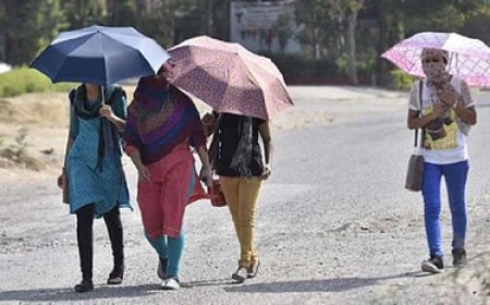 मध्य प्रदेश में गर्मी का कहर, कई जिलों में लू का अलर्ट