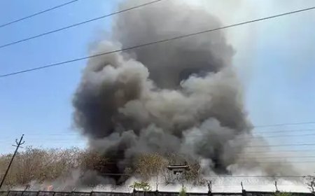 राजधानी के BHEL में भीषण आग: ग्रीन बेल्ट एरिया में धमाकों से मची अफरा-तफरी, तेज हवा से फैल रही लपटें