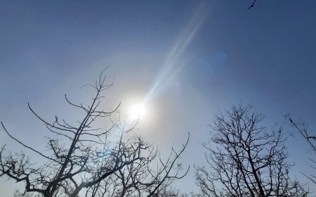 इंदौर में गर्मी का कहर, तापमान 40.8 डिग्री सेल्सियस, लू ने बढ़ाई परेशानी