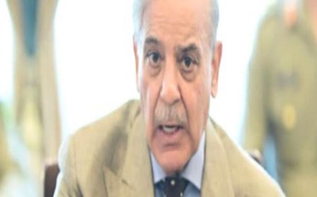 पाक पीएम शहबाज शरीफ की धमकी, ‘हम पहलगाम हमले की निष्पक्ष जांच के लिए तैयार, लेकिन पानी रोका तो देंगे जोरदार जवाब’...