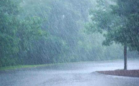 MP Weather: बारिश, आंधी और तीखी धूप का दौर