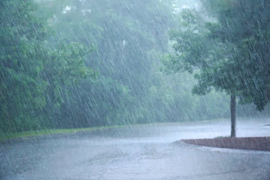 MP Weather : प्रदेश में मौसम के दो रंग, कई जिलों में हल्की बारिश, तो कहीं चलेगी लू