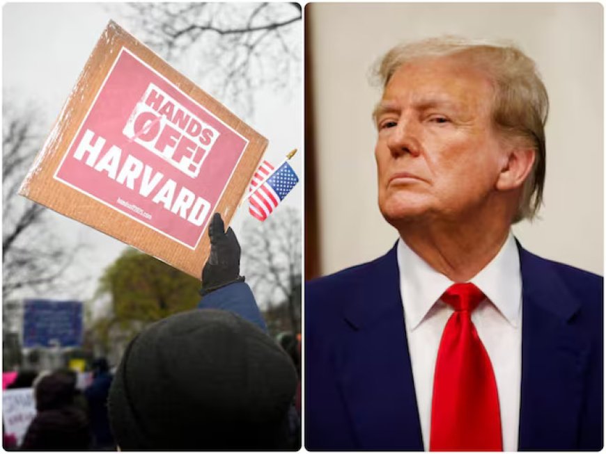 Harvard University ने ट्रंप प्रशासन के खिलाफ ठोका मुकदमा, 2.2 अरब डॉलर की फंडिंग रोकने पर लिया कड़ा रुख