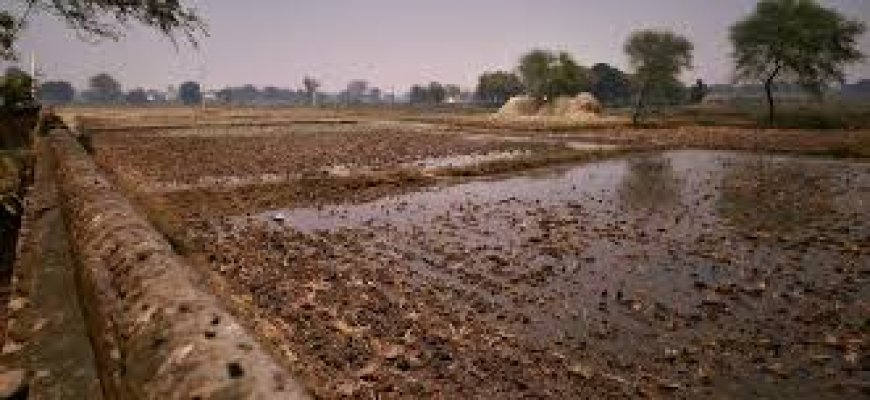 Shahdol: रसपुर ग्राम पंचायत में रेत खनन से जल संकट, किसानों ने एसडीएम को सौंपा ज्ञापन